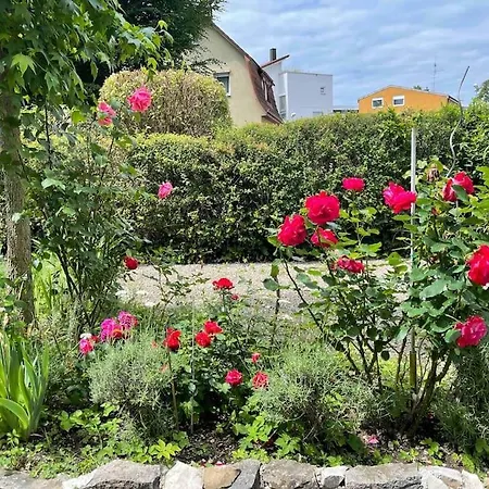 Fewo Apartment Lake Of Constance Friedrichshafen Exterior photo